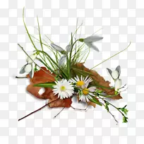 花卉设计叶切花-空若网 花卉设计叶切花-空若网