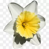 ˮ�ɻ�ԭ����ľ-������