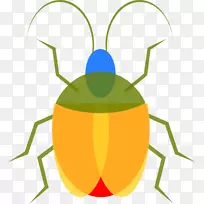 无虫内容剪辑艺术昆虫照片-空若网 无虫内容剪辑艺术昆虫照片-空若网