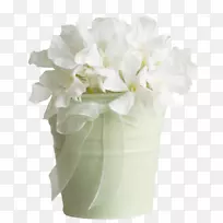 自尊心爱好约会艺术-人-空若网 自尊心爱好约会艺术-人-空若网