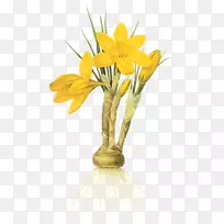 ˮ�ɻ�-������