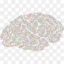 ����������񾭿�ѧ����-������