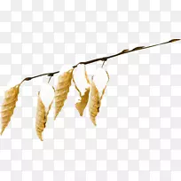 ѩҳ¼ôÌù»-Ñ©-¿ÕÈôÍø ѩҳ¼ôÌù»-Ñ©-¿ÕÈôÍø