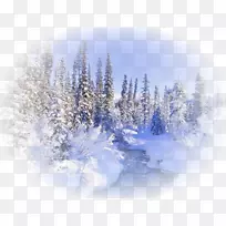 桌面壁纸冬季桌面隐喻森林-冬天-空若网 桌面壁纸冬季桌面隐喻森林-冬天-空若网