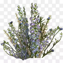 Ó¢¹úÞ¹Ò²ݻ滼ôÌù»-¿ÕÈôÍø Ó¢¹úÞ¹Ò²ݻ滼ôÌù»-¿ÕÈôÍø