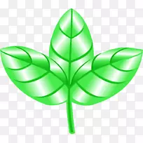 Ҷֲ�ﾥ�ԳƷ���-Ҷ-������