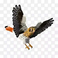 ����-������