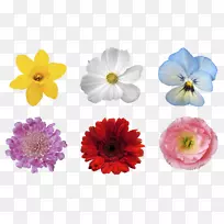 �ջ�-�ջ�-������