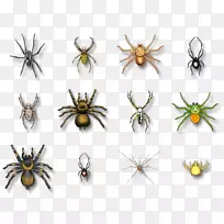 ֩��ҧ�Ϸ��ڹѸ���������֩�붯��ҧ֩��-������