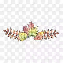 ÒÕÊõÒ¶Ë®²Ê»»¨²Ý-¿ÕÈôÍø ÒÕÊõÒ¶Ë®²Ê»»¨²Ý-¿ÕÈôÍø