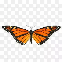 帝王蝴蝶昆虫剪贴画闪光动画-空若网 帝王蝴蝶昆虫剪贴画闪光动画-空若网