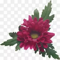 �ջ��л���Ƽ�����-�ջ�-������