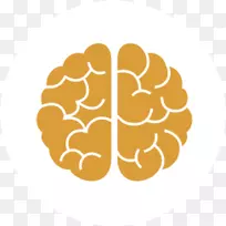 脑损伤儿童认知训练神经系统-脑的发展-空若网 脑损伤儿童认知训练神经系统-脑的发展-空若网