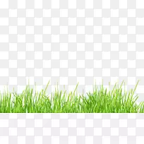 桌面壁纸剪贴画-空若网 桌面壁纸剪贴画-空若网