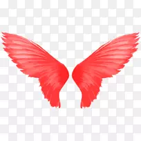 ����-������