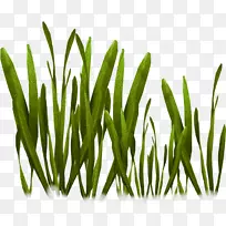 封装的PostScript剪贴画-空若网 封装的PostScript剪贴画-空若网