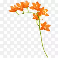 ��ɫ������ƻ��ܼ�����-��ɫ-������