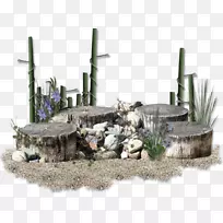 ���������-������