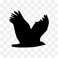 鸟鹰翅膀剪贴画-鸟-空若网 鸟鹰翅膀剪贴画-鸟-空若网