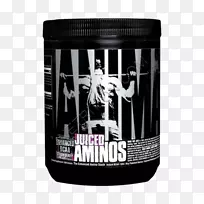 ÉÅʳ²¹³ä¼ÁÖ§Á´°±»ùËá±ØÐè°±»ùËá¹ûÖ-¿ÕÈôÍø ÉÅʳ²¹³ä¼ÁÖ§Á´°±»ùËá±ØÐè°±»ùËá¹ûÖ-¿ÕÈôÍø