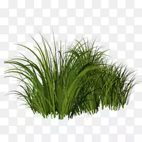 ��ƺ��ľ������-������