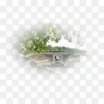 水树-水-空若网 水树-水-空若网