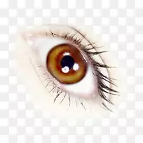 ����ͼ��-������