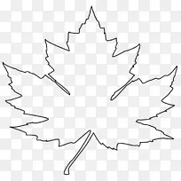 白色对称面积角图案-枫叶艺术-空若网 白色对称面积角图案-枫叶艺术-空若网