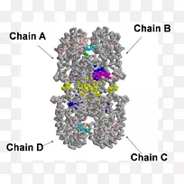 线点体珠宝字体线-空若网 线点体珠宝字体线-空若网