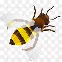 ÃÛ·äÀ¥³æ·ä³²²åͼ.¿¨Í¨ÃÛ·ä-¿ÕÈôÍø ÃÛ·äÀ¥³æ·ä³²²åͼ.¿¨Í¨ÃÛ·ä-¿ÕÈôÍø