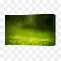 ̨ʽ��ֽ���Բ�ƺ��ֽ����-������