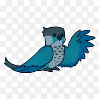 Jaiden����Conure��ͼ-����-������