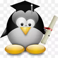 microsoft windows e linux视频设备类安装-linux-空若网 microsoft windows e linux视频设备类安装-linux-空若网