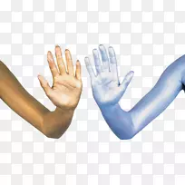 ��ָ����-������