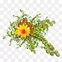 切花设计花束-空若网 切花设计花束-空若网