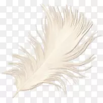 ����-������