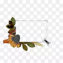 ����ͿĤ-����-������