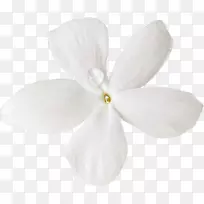 �ɶ����л�����-������