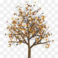 博客桌面壁纸秋季-空若网 博客桌面壁纸秋季-空若网