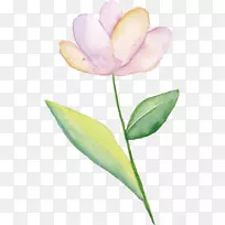 粉红花水彩画-小鲜粉花-空若网 粉红花水彩画-小鲜粉花-空若网