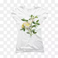 t����װ�˶�����ñ������-������