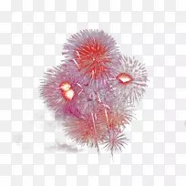 �����̻�.����-������