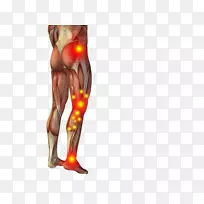 摄影,肩托照片,人体解剖-空若网 摄影,肩托照片,人体解剖-空若网