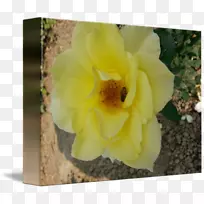 ����-������