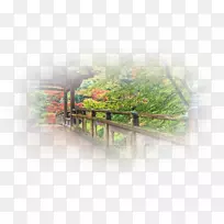 Ê÷-Ê÷-¿ÕÈôÍø Ê÷-Ê÷-¿ÕÈôÍø