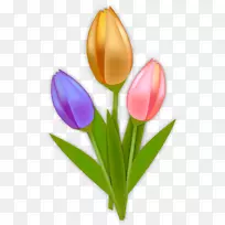 荷兰郁金香-手绘郁金香-空若网 荷兰郁金香-手绘郁金香-空若网