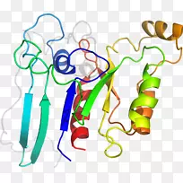 �����������������-������