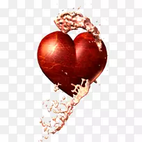 心-他人-空若网 心-他人-空若网