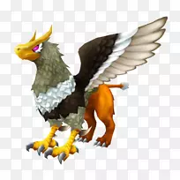 鹰嘴鹰-空若网 鹰嘴鹰-空若网