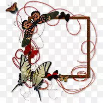 蝶形架-空若网 蝶形架-空若网